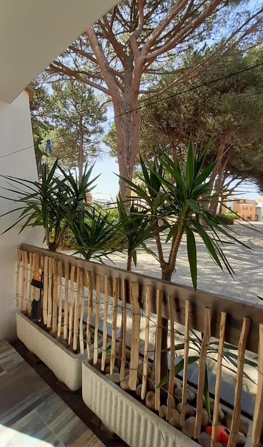 T2-3 Cabine Les Yuccas 200 M Plage Du Boucanet Rive Droite Grau Du Roi Ideal 2-4 Pers Le Grau-du-Roi Eksteriør bilde